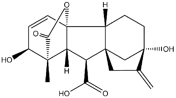 赤霉素GIBBERELLIC ACID，居然有這么神奇？